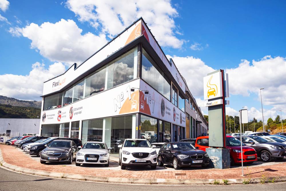 Flexicar Vizcaya opiniones